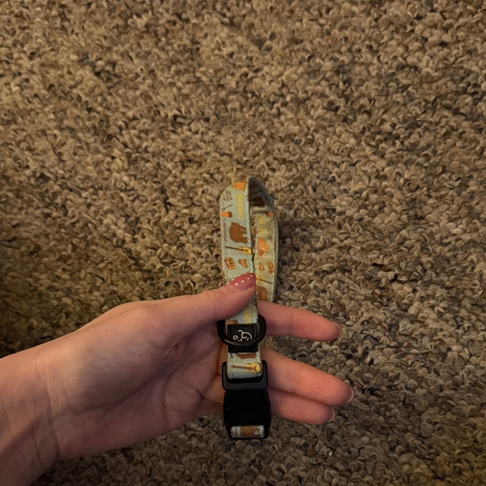 Lucy and Co camping patterned collar
